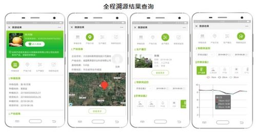 大田智慧農(nóng)業(yè)1.28億元數(shù)字化服務(wù)項(xiàng)目 以數(shù)字內(nèi)容制作驅(qū)動(dòng)農(nóng)產(chǎn)品安全生產(chǎn)新篇章